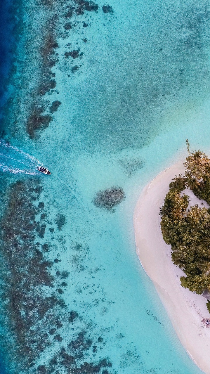 ocean, sea, fish, phone wallpaper, island, mobile wallpaper 4k, mobile wallpaper, lock screen wallpaper, samsung wallpaper, nature, beautiful wallpaper, wallpaper, dream, ipad wallpaper, aesthetic wallpaper, iphone wallpaper