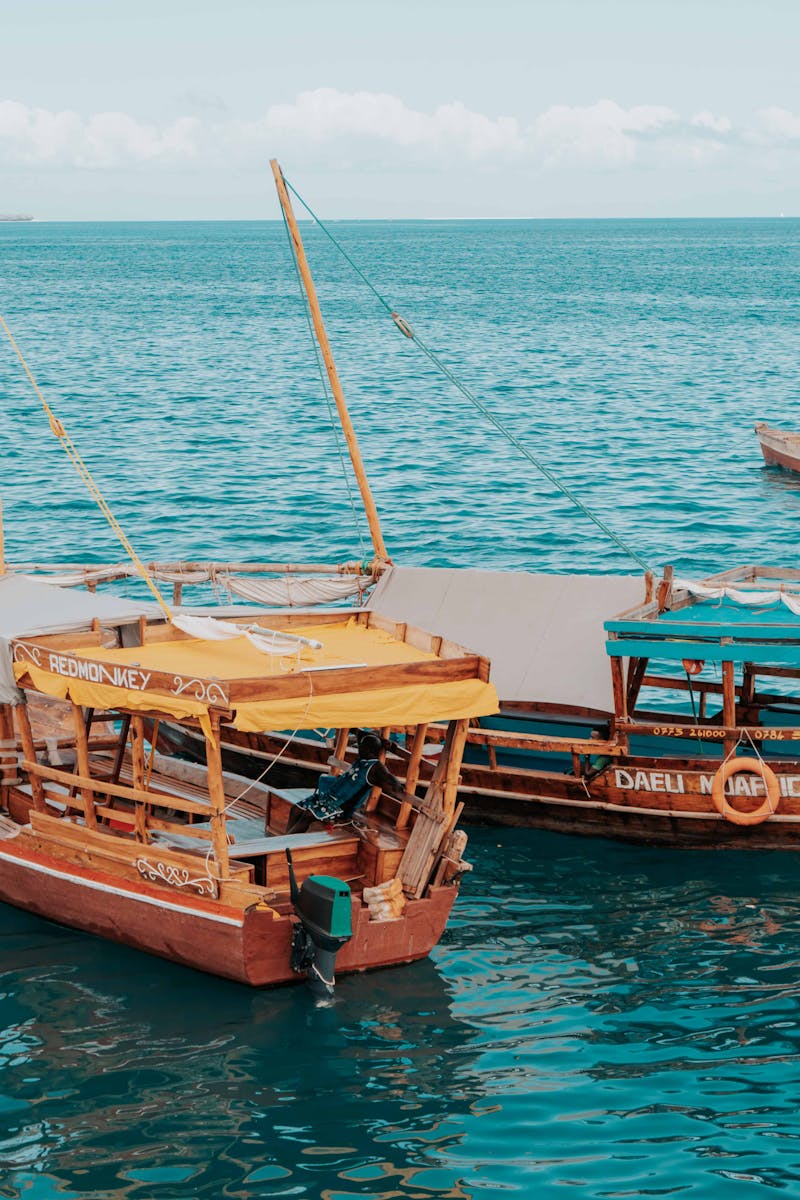 Enjoy the serene view of traditional dhows sailing in the turquoise Zanzibar sea.